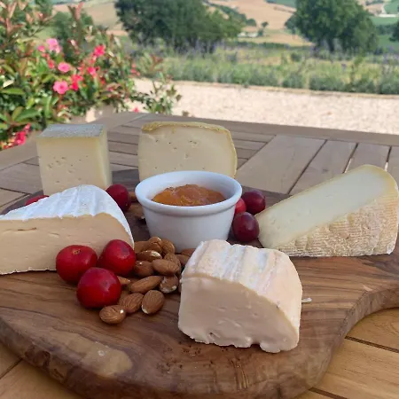 Bed & Breakfast Gastronomic Carlocarla
