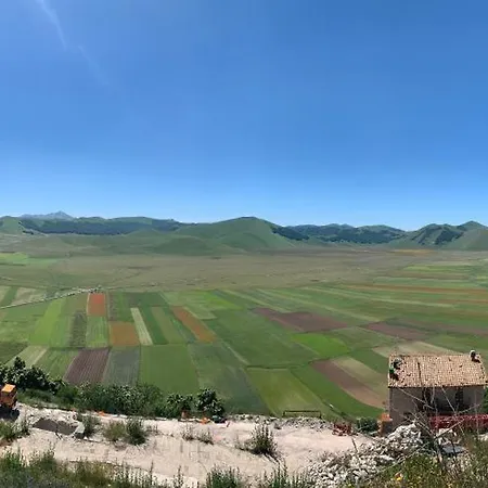 Gastronomic Carlocarla