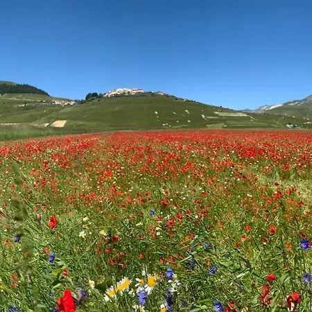 Gastronomic Carlocarla فندق مبيت وإفطار