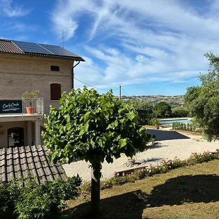 Gastronomic Carlocarla Monte San Pietrangeli