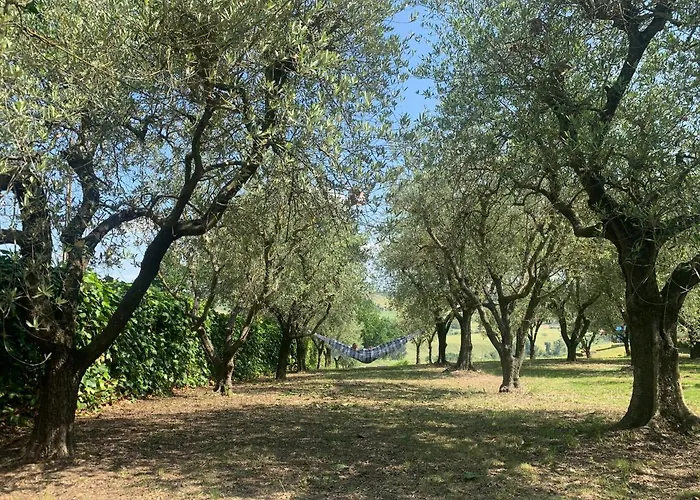 Gastronomic Carlocarla Bed & Breakfast