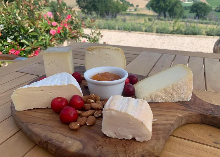 Bed & Breakfast Gastronomic Carlocarla