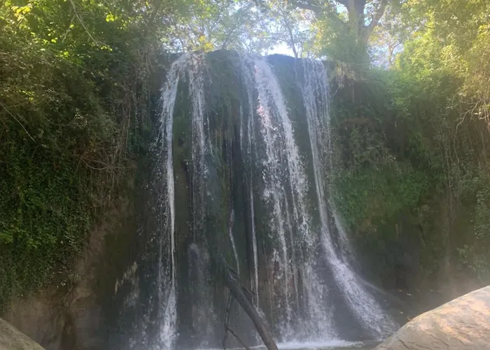 Bed & Breakfast Gastronomic Carlocarla 4*