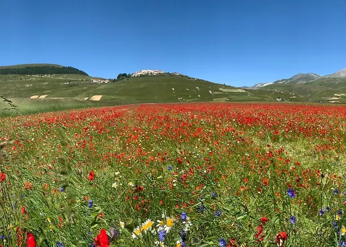 Gastronomic Carlocarla Bed & Breakfast