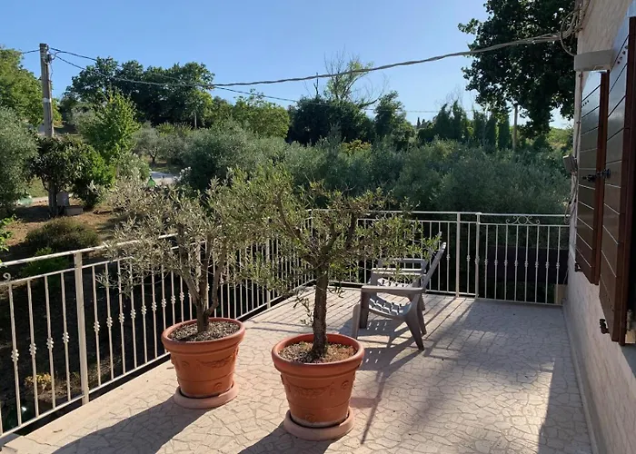 Gastronomic Carlocarla